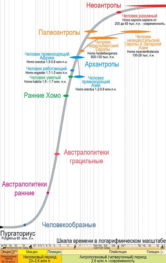 Формула Бога. Эволюция религии, культуры и этики в эпоху технологической сингулярности и бессмертия