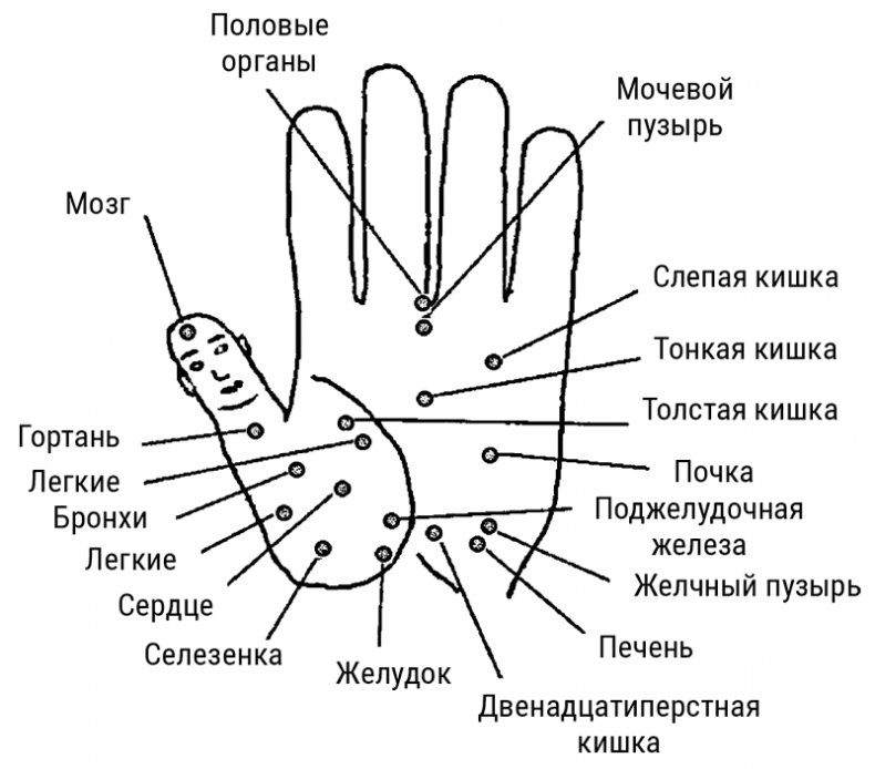 Большой самоучитель исцеляющих точек. Подробный атлас, приемы и упражнения