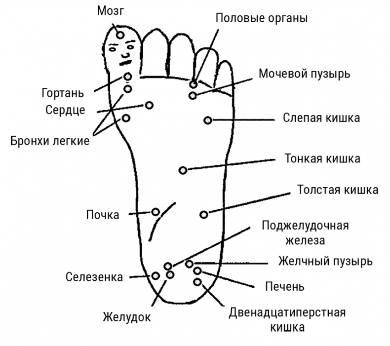 Большой самоучитель исцеляющих точек. Подробный атлас, приемы и упражнения