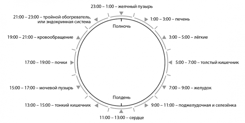 В своем ритме. Уникальный метод синхронизации с циклом, который изменит вашу жизнь за 28 дней