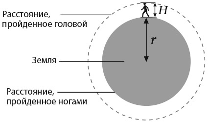 Капуста, неверные мужья и зебра. Загадки и головоломки для развития критического мышления