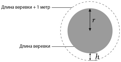 Капуста, неверные мужья и зебра. Загадки и головоломки для развития критического мышления