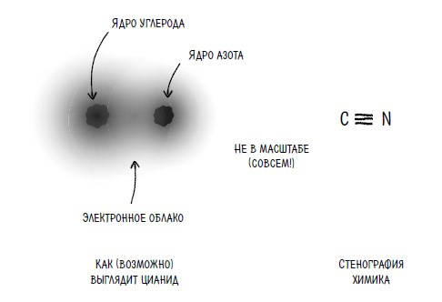 Ингредиенты. Странные химические свойства того, что мы едим, пьем и наносим на кожу