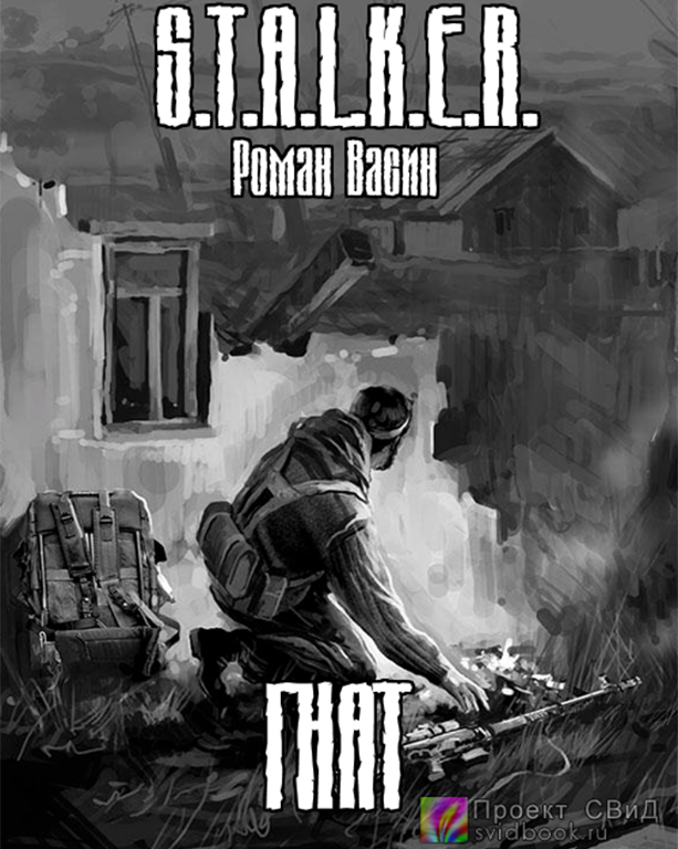 Гнат ( S.T.A.L.K.E.R.) - Роман Васин