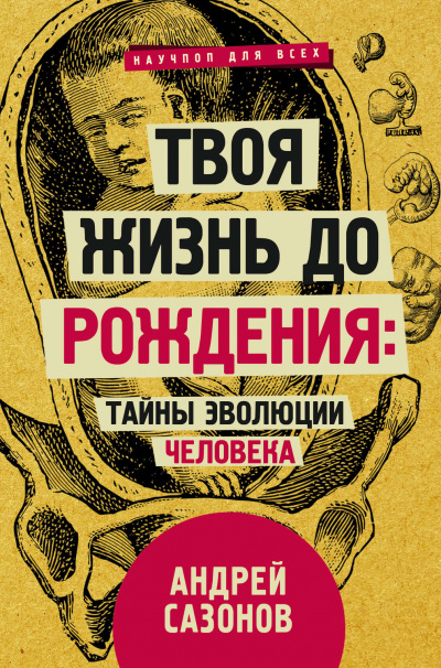 Твоя жизнь до рождения: тайны эволюции человека - Андрей Сазонов