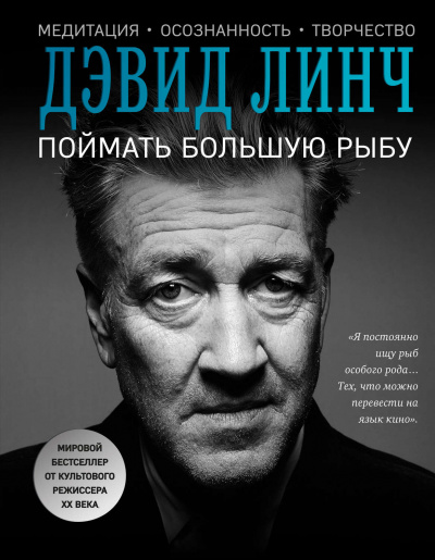 Поймать большую рыбу. Медитация, осознанность, творчество - Дэвид Линч