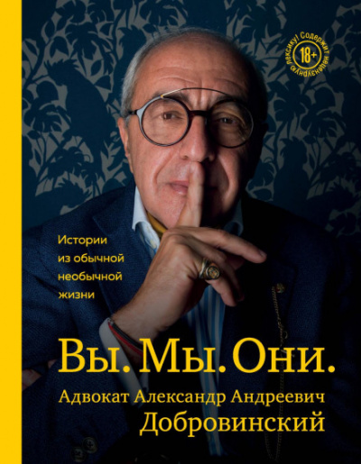 Вы. Мы. Они. Истории из обычной необычной жизни - Александр Добровинский