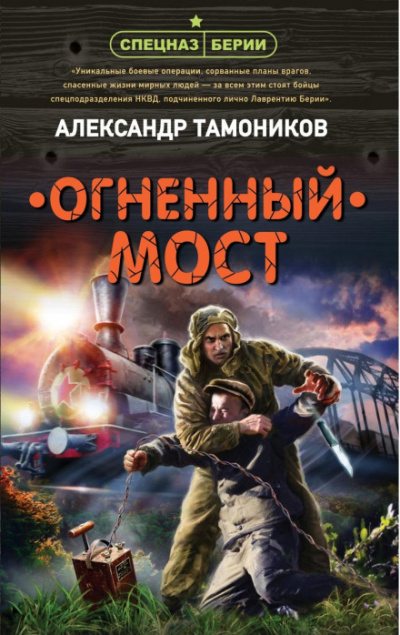 Огненный мост - Александр Тамоников