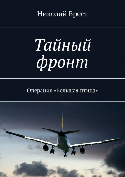 Тайный фронт. Операция большая птица - Николай Брест