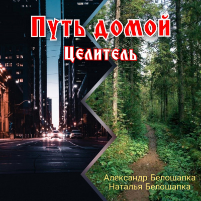 Белошапка Александр, Белошапка Наталья - Путь домой. Книга 2. Целитель.