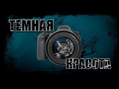 Видинеев Дмитрий - Темная красота