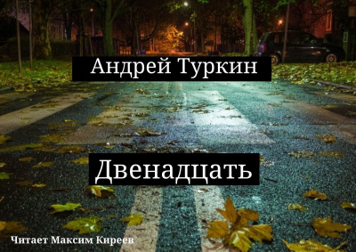 Туркин Андрей - Двенадцать