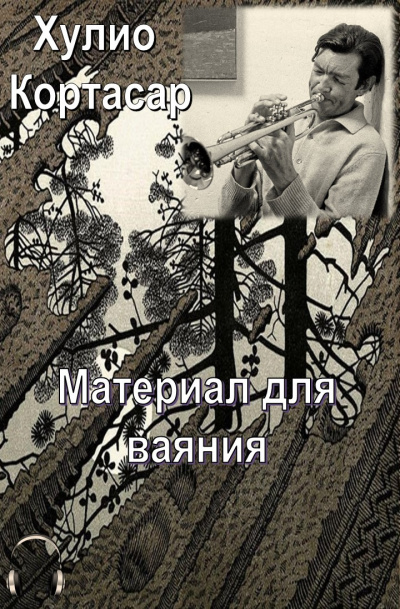 Кортасар Хулио - Материал для ваяния