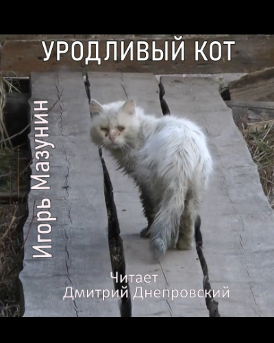 Мазунин Игорь - Уродливый кот