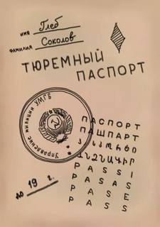 Соколов Глеб - Тюремный паспорт. Часть 6