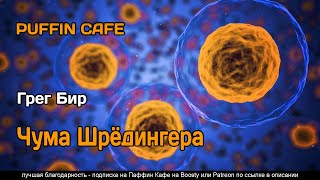 Чума Шрёдингера - Грег Бир