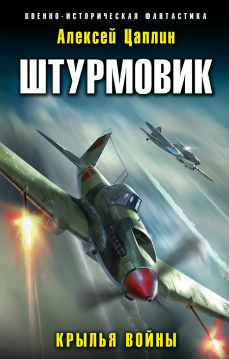 Штурмовик. Крылья войны - Алексей Цаплин (книга 1)