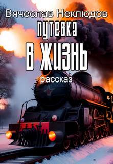 Путевка в жизнь - Вячеслав Неклюдов