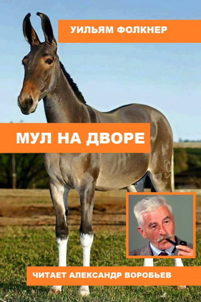 Фолкнер Уильям - Мул на дворе