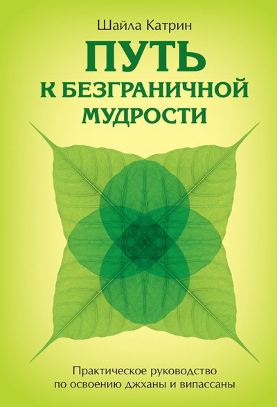 Путь к безграничной мудрости. Практическое руководство по освоению джханы и випассаны - Катерин Шайла