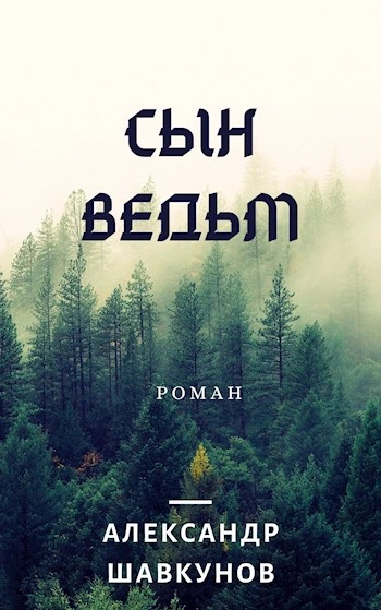 Последствия. Сын Ведьм - Александр Шавкунов »