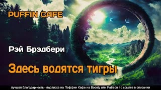 Здесь водятся тигры - Рэй Брэдбери »