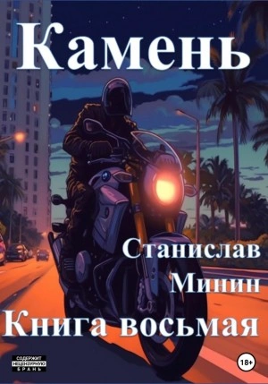 Камень. Книга 8 - Станислав Минин