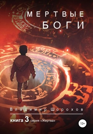 Мертвые боги. Книга 3 - Владимир Шорохов