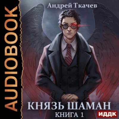 Князь шаман. Книга 1 - Андрей Ткачев