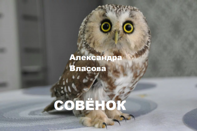 Власова Александра – Совёнок