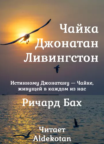 Бах Ричард – Чайка по имени Джонатан Ливингстон