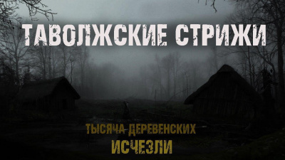 Леда Ар – Таволжские стрижи