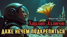 Эллисон Харлан – Даже нечем подкрепиться