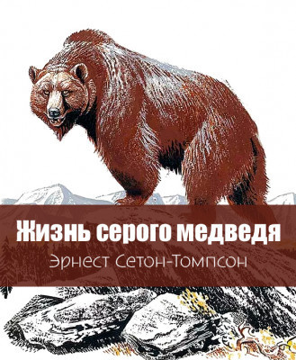 Сетон-Томпсон Эрнест – Жизнь серого медведя