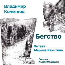 Кочетков Владимир – Бегство