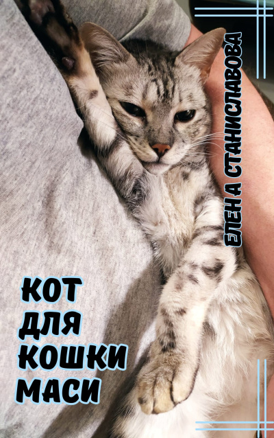 Станиславова Елена – Кот для кошки Маси