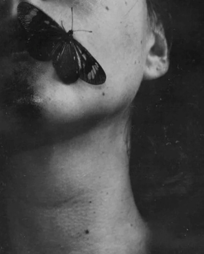 Сенчукова Валентина – Логово мотылька