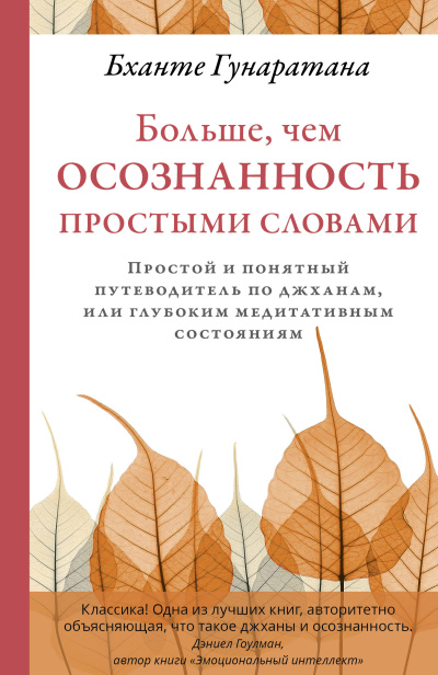 Гунаратана Бханте Хенепола – Больше, чем осознанность простыми словами. Простой и понятный путеводитель по джханам, или глубоким медитативным состояниям