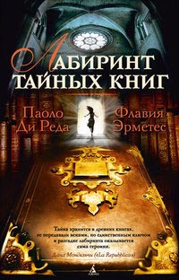 Лабиринт тайных книг - Паоло Ди Реда