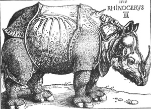 Носорог для Папы Римского