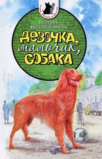 Девочка, мальчик, собака - Валерий Воскобойников