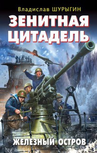 Зенитная цитадель "Не тронь меня!" - Владислав Шурыгин