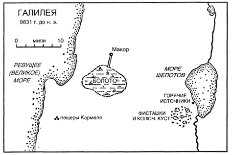 Источник