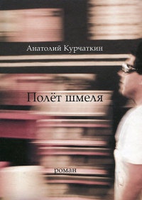 Полет шмеля - Анатолий Курчаткин
