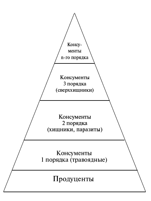 Враги России