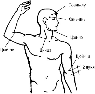 Большой атлас целительных точек. Китайская медицина на страже здоровья и долголетия