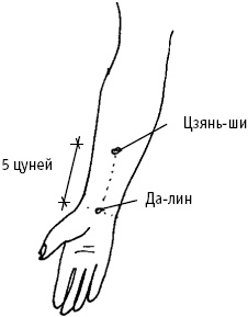 Большой атлас целительных точек. Китайская медицина на страже здоровья и долголетия