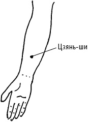 Большой атлас целительных точек. Китайская медицина на страже здоровья и долголетия