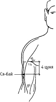 Большой атлас целительных точек. Китайская медицина на страже здоровья и долголетия