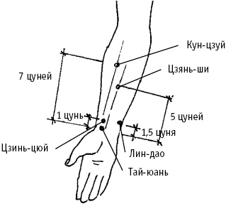 Большой атлас целительных точек. Китайская медицина на страже здоровья и долголетия